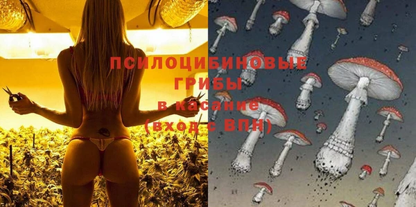 МДМА Приозерск