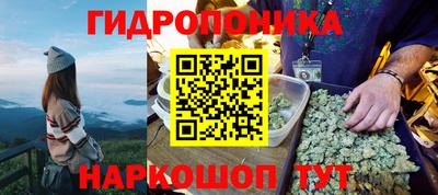 ешки Абакан