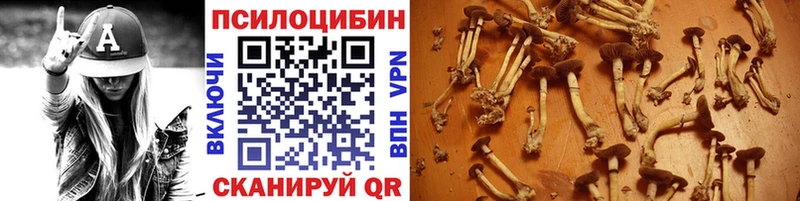 Псилоцибиновые грибы Psilocybe  Азнакаево 