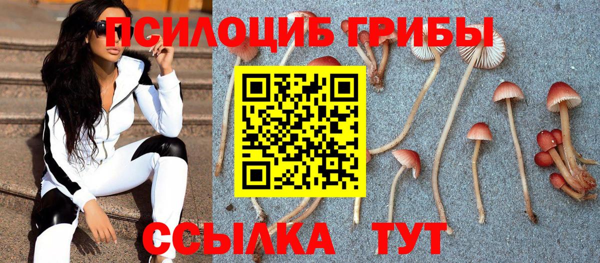Псилоцибиновые грибы Psilocybine cubensis  Азнакаево  Псилоцибиновые грибы мухоморы 
