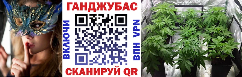 Канабис сатива  Азнакаево 